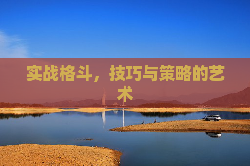 实战格斗,技巧与策略的艺术 实战格斗,技巧与策略的艺术