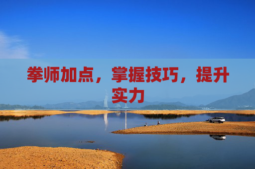 拳师加点,掌握技巧,提升实力 拳师加点,掌握技巧,提升实力