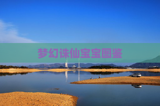 梦幻诛仙宝宝图鉴 梦幻诛仙宝宝图鉴