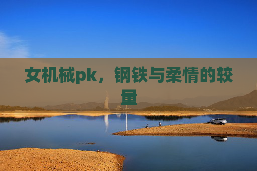 女机械pk,钢铁与柔情的较量 女机械pk,钢铁与柔情的较量