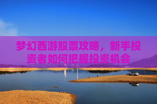 梦幻西游股票攻略,新手投资者如何把握投资机会 梦幻西游股票攻略,新手投资者如何把握投资机会