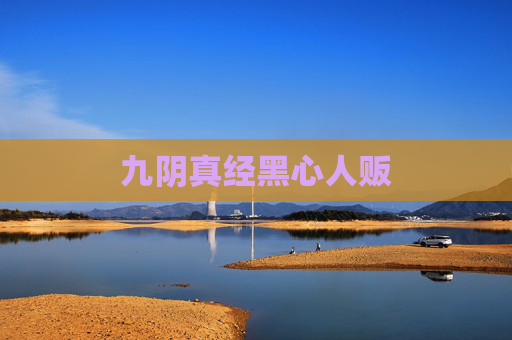 九阴真经黑心人贩 九阴真经黑心人贩