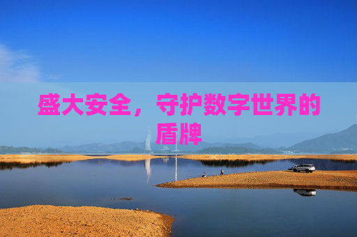 盛大安全,守护数字世界的盾牌 盛大安全,守护数字世界的盾牌