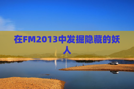 在FM2013中发掘隐藏的妖人 在FM2013中发掘隐藏的妖人