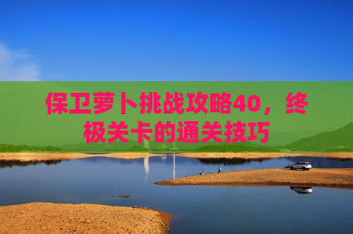 保卫萝卜挑战攻略40,终极关卡的通关技巧 保卫萝卜挑战攻略40,终极关卡的通关技巧