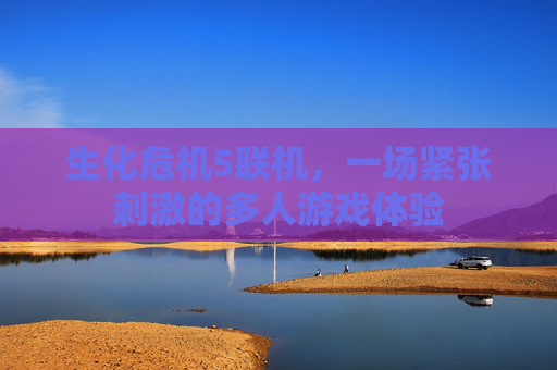 生化危机5联机,一场紧张刺激的多人游戏体验 生化危机5联机,一场紧张刺激的多人游戏体验