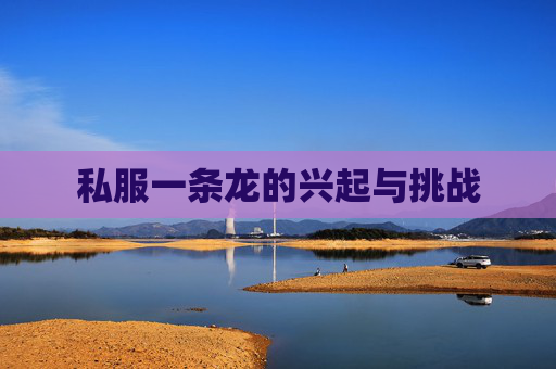 私服一条龙的兴起与挑战 私服一条龙的兴起与挑战