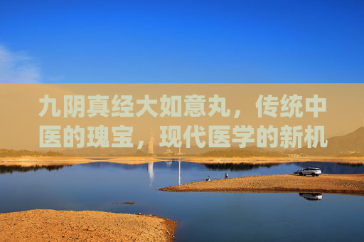 九阴真经大如意丸,传统中医的瑰宝,现代医学的新机遇 九阴真经大如意丸,传统中医的瑰宝,现代医学的新机遇