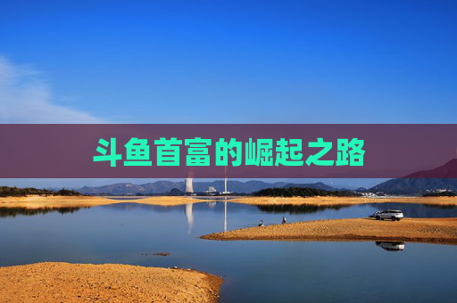 斗鱼首富的崛起之路 斗鱼首富的崛起之路