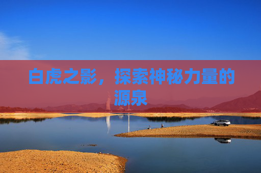 白虎之影,探索神秘力量的源泉 白虎之影,探索神秘力量的源泉