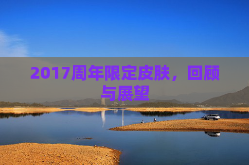 2017周年限定皮肤,回顾与展望 2017周年限定皮肤,回顾与展望