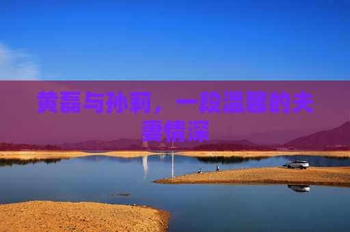 黄磊与孙莉，一段温馨的夫妻情深