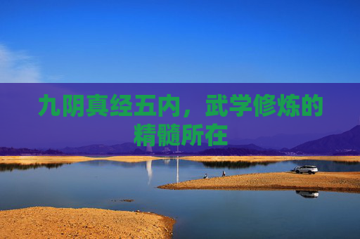 九阴真经五内，武学修炼的精髓所在