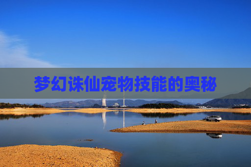 梦幻诛仙宠物技能的奥秘 梦幻诛仙宠物技能的奥秘