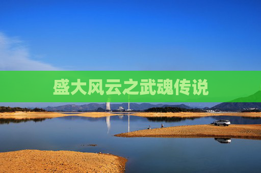 盛大风云之武魂传说