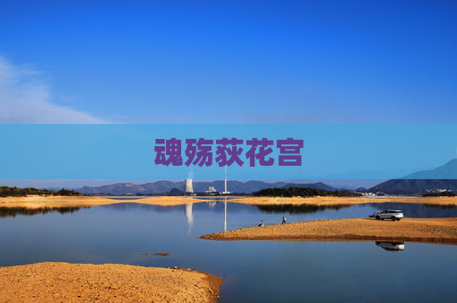 魂殇荻花宫