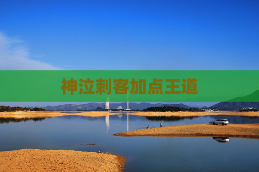 神泣刺客加点王道 神泣刺客加点王道