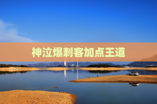 神泣爆刺客加点王道 神泣爆刺客加点王道