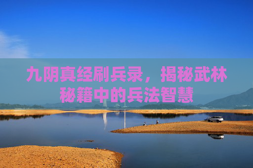 九阴真经刷兵录,揭秘武林秘籍中的兵法智慧 九阴真经刷兵录,揭秘武林秘籍中的兵法智慧