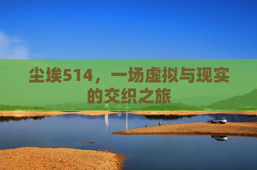 尘埃514,一场虚拟与现实的交织之旅 尘埃514,一场虚拟与现实的交织之旅