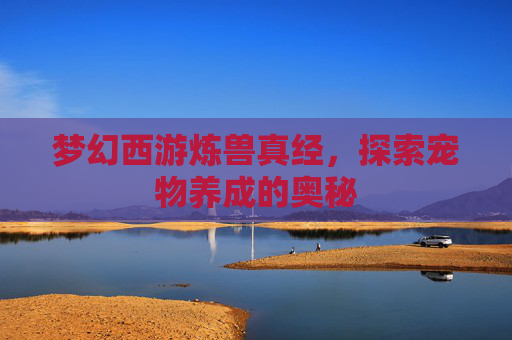 梦幻西游炼兽真经,探索宠物养成的奥秘 梦幻西游炼兽真经,探索宠物养成的奥秘
