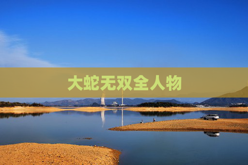 大蛇无双全人物 大蛇无双全人物
