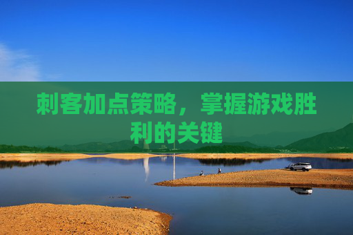 刺客加点策略,掌握游戏胜利的关键 刺客加点策略,掌握游戏胜利的关键