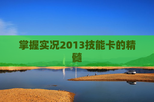 掌握实况2013技能卡的精髓 掌握实况2013技能卡的精髓