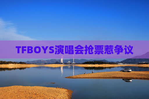 TFBOYS演唱会抢票惹争议 TFBOYS演唱会抢票惹争议