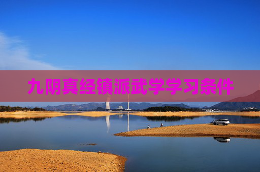 九阴真经镇派武学学习条件 九阴真经镇派武学学习条件