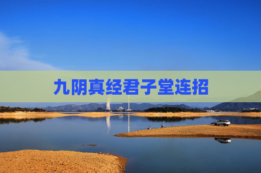 九阴真经君子堂连招 九阴真经君子堂连招