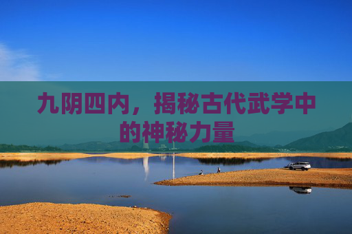九阴四内,揭秘古代武学中的神秘力量 九阴四内,揭秘古代武学中的神秘力量