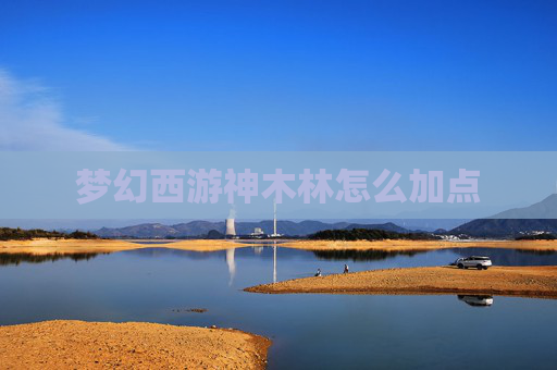 梦幻西游神木林怎么加点 梦幻西游神木林怎么加点