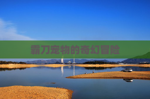 霸刀宠物的奇幻冒险