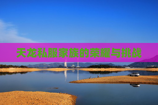 天龙私服家族的荣耀与挑战 天龙私服家族的荣耀与挑战