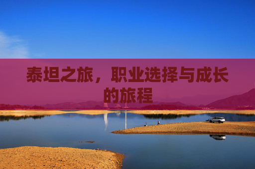 泰坦之旅，职业选择与成长的旅程