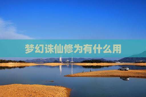 梦幻诛仙修为有什么用