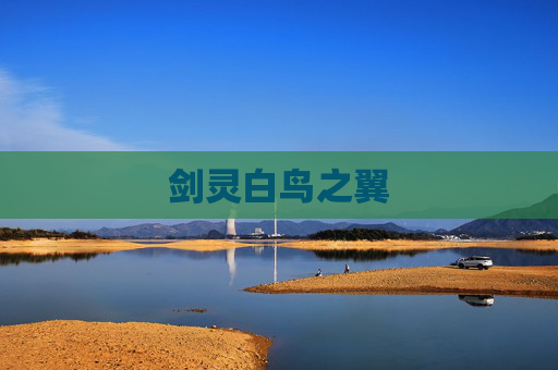 剑灵白鸟之翼