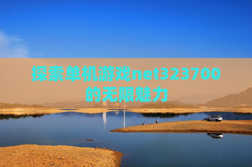 探索单机游戏net323700的无限魅力