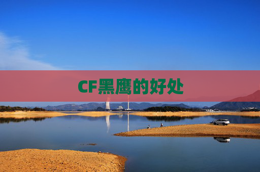 CF黑鹰的好处 CF黑鹰的好处