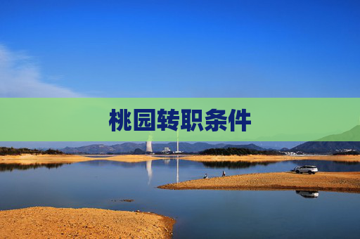 桃园转职条件 桃园转职条件