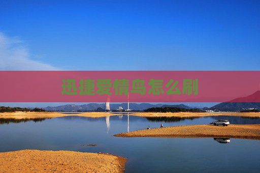 迅捷爱情鸟怎么刷