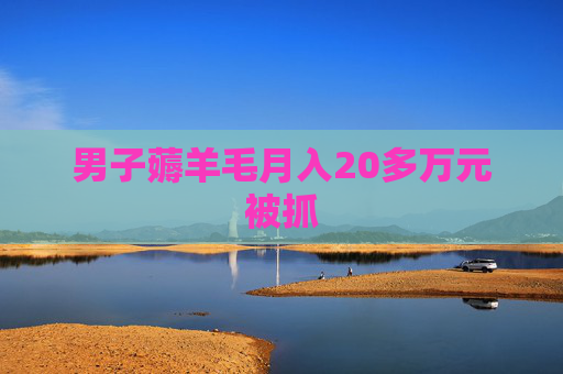 男子薅羊毛月入20多万元被抓 男子薅羊毛月入20多万元被抓