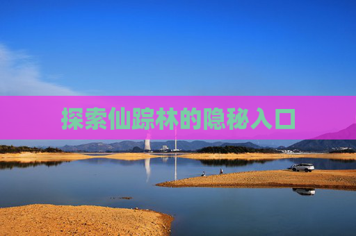 探索仙踪林的隐秘入口 探索仙踪林的隐秘入口