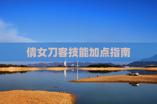 倩女刀客技能加点指南