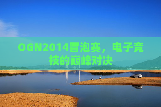 OGN2014冒泡赛，电子竞技的巅峰对决