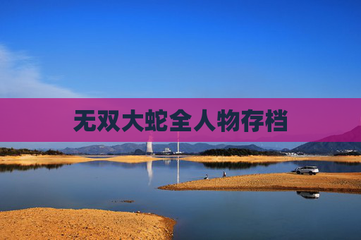 无双大蛇全人物存档