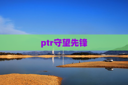 ptr守望先锋