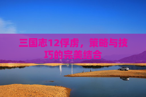 三国志12俘虏,策略与技巧的完美结合 三国志12俘虏,策略与技巧的完美结合