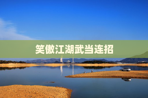 笑傲江湖武当连招 笑傲江湖武当连招
